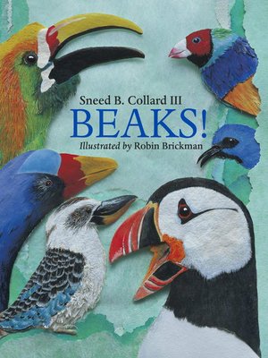 cover image of Beaks!